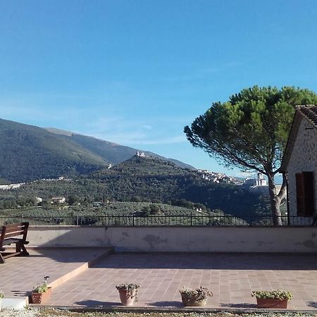 B&B Colle San Francesco Assisi Dış mekan fotoğraf