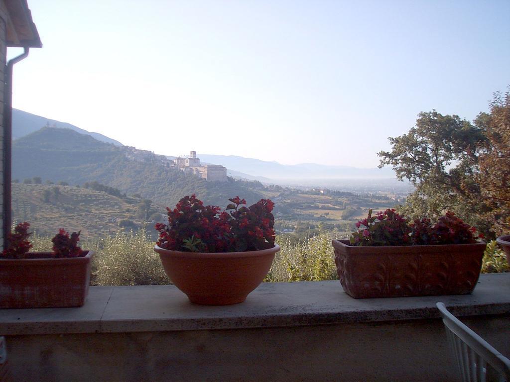B&B Colle San Francesco Assisi Dış mekan fotoğraf