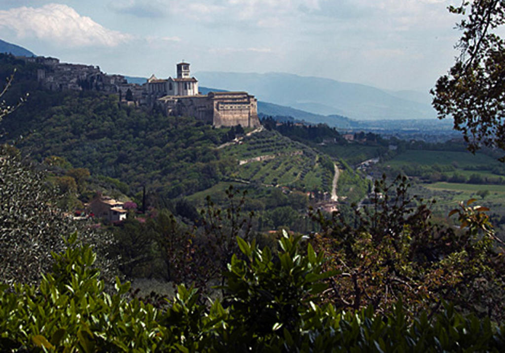 B&B Colle San Francesco Assisi Dış mekan fotoğraf