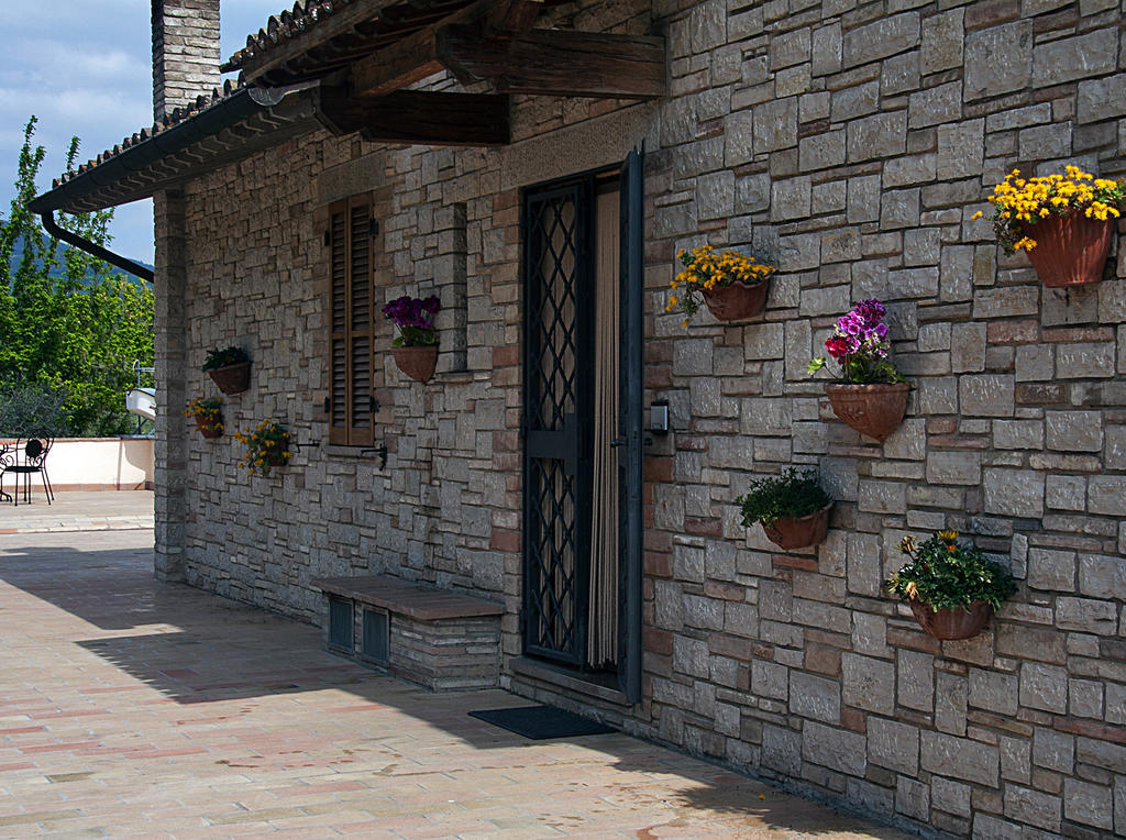 B&B Colle San Francesco Assisi Dış mekan fotoğraf
