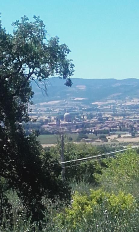B&B Colle San Francesco Assisi Dış mekan fotoğraf