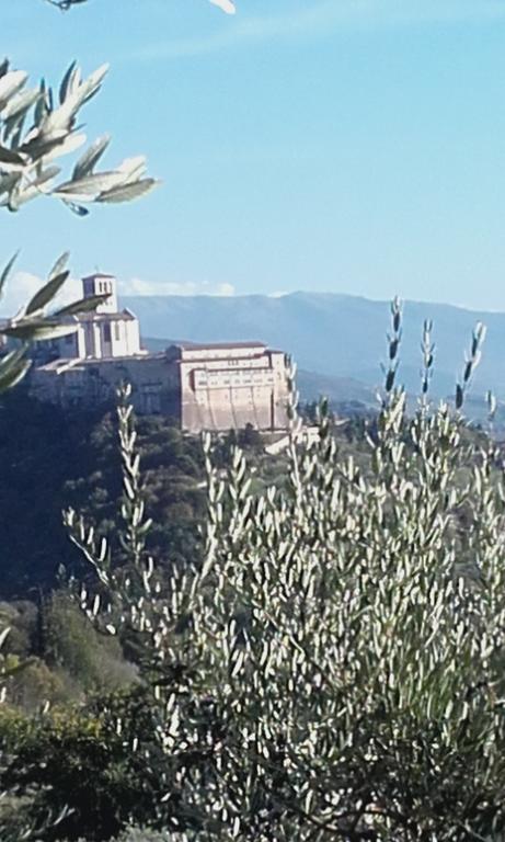 B&B Colle San Francesco Assisi Dış mekan fotoğraf