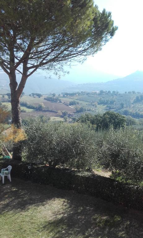 B&B Colle San Francesco Assisi Dış mekan fotoğraf